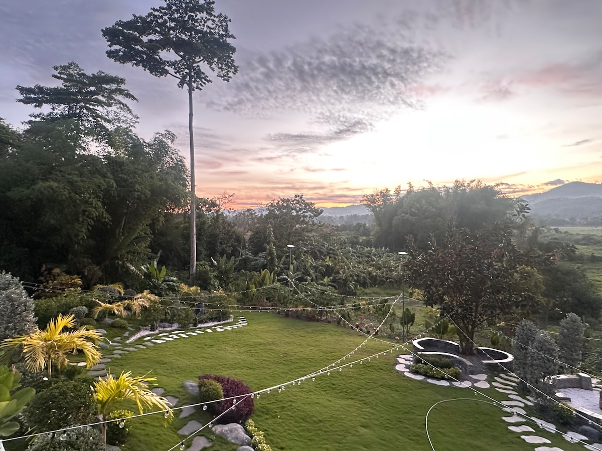 Casa Vida Garden & Grounds 1
